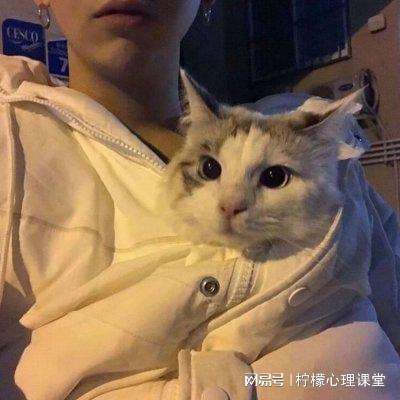 进击的骑士手游下载安装