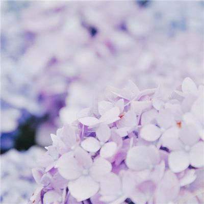 我塔防玩的贼6最新版(暂未上线)v1.0 安卓版
